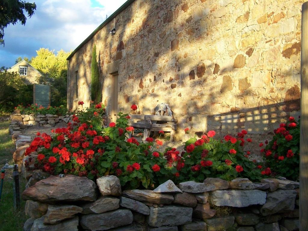Cleburne Homestead Risdon Ruang foto