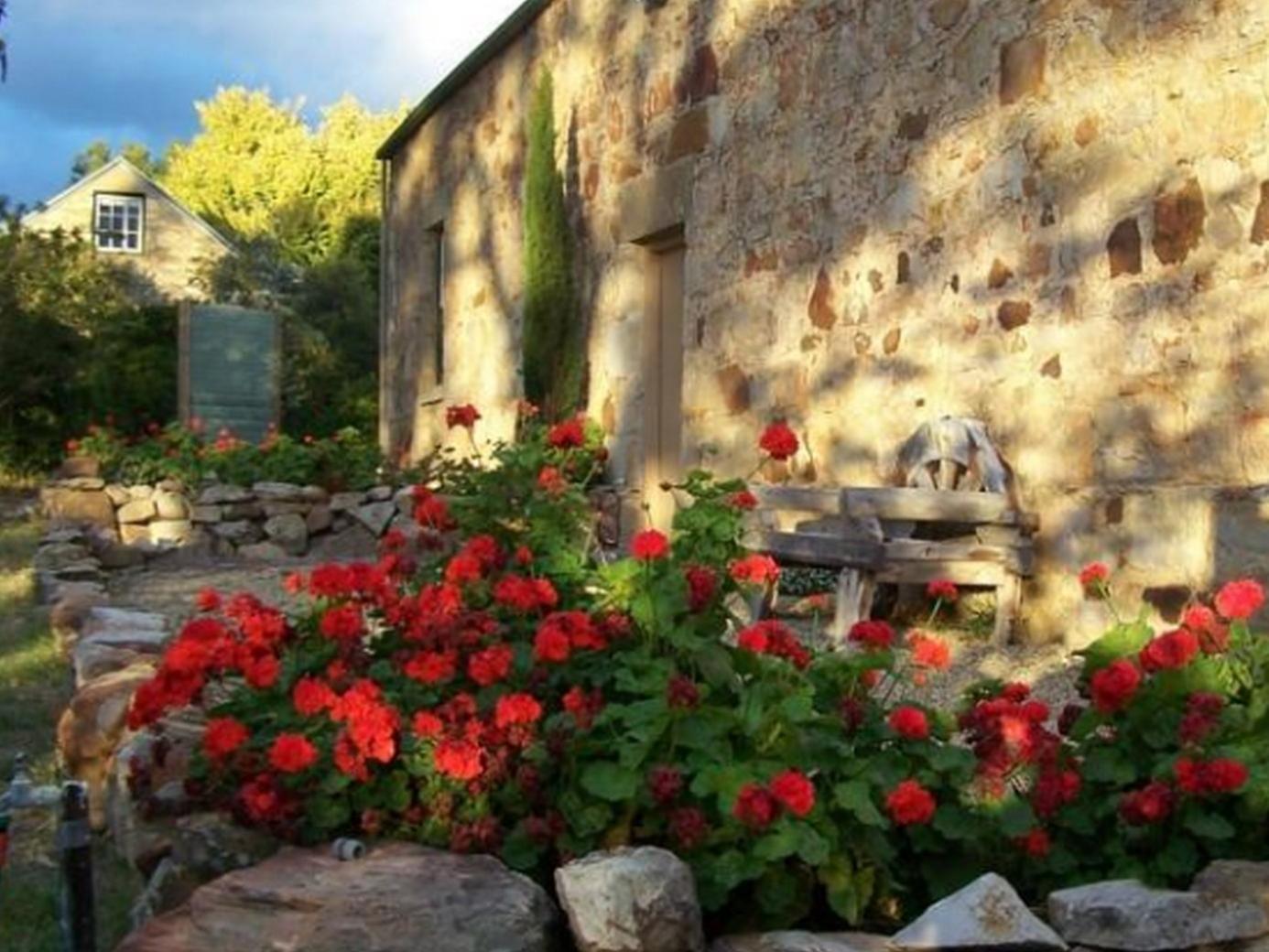 Cleburne Homestead Risdon Bagian luar foto