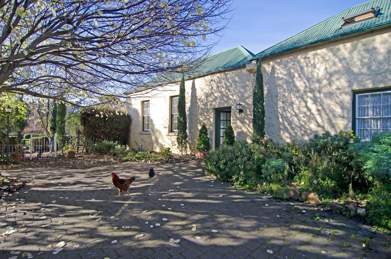 Cleburne Homestead Risdon Bagian luar foto