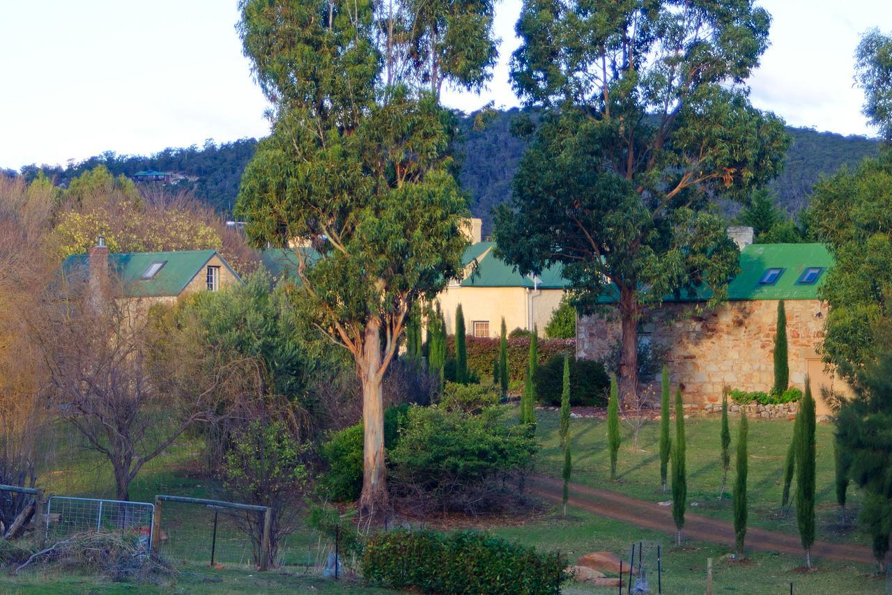 Cleburne Homestead Risdon Bagian luar foto